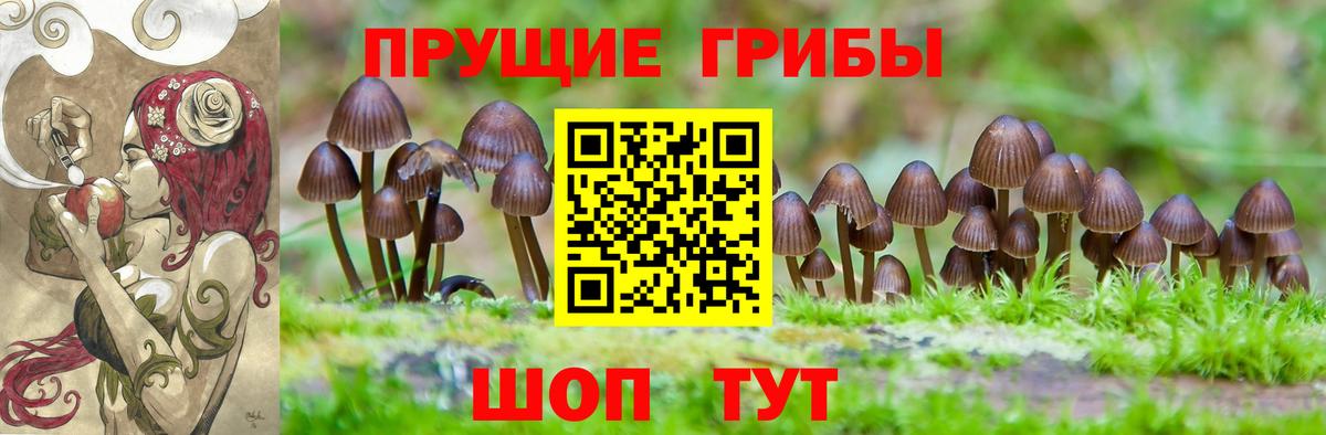 Озёры  Галлюциногенные грибы прущие грибы  Вход с VPN 